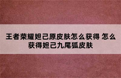 王者荣耀妲己原皮肤怎么获得 怎么获得妲己九尾狐皮肤